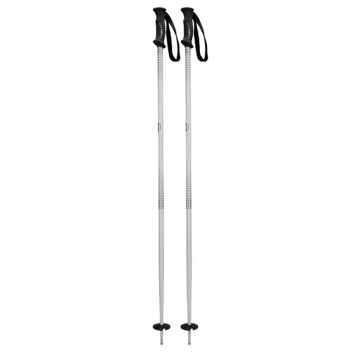 5th element shadow - ski, poles